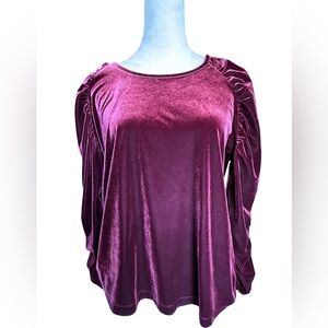 Susan Graver Velvet Burgundy Blouse